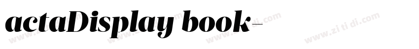 actaDisplay book字体转换